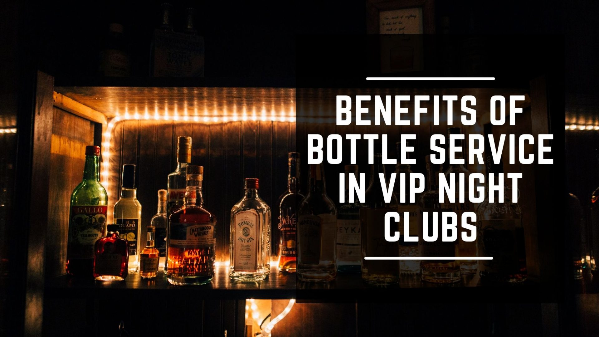 Benefits of Bottle Service in VIP Night clubs